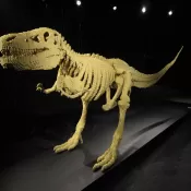 Art, made out of LEGO