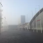 Foggy morning