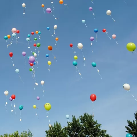 A bunch of balloons drifting off into the sky